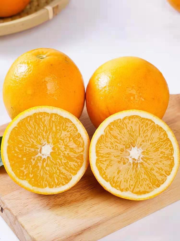 76dc1c9db2cdce2d05ccc0b5bdc6ce1.jpg