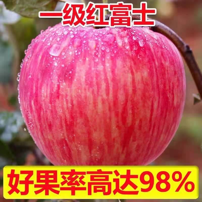 3d1ea35540d6cf5cf6c3af931d39cc4.jpg