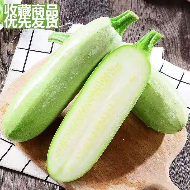 新鲜蔬菜农家自种当季西葫芦现摘  现发茭瓜白角瓜孕妇辅食5斤包邮  