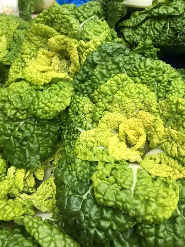 黄心菜新鲜当季霜冻黄心乌塌   菜青菜黑白菜卷心白菜黄窝窝蔬菜5斤