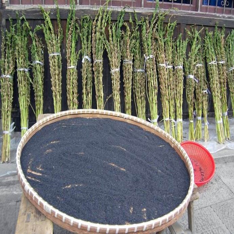 黑芝麻生 农家 自产特级散装免洗20年 新货驻马店特产生吃榨油烘焙18.8