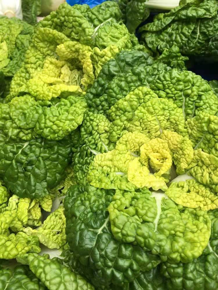 黄心菜新鲜当季霜冻黄心乌塌菜青菜黑白菜卷心白菜 黄窝窝蔬菜5斤  