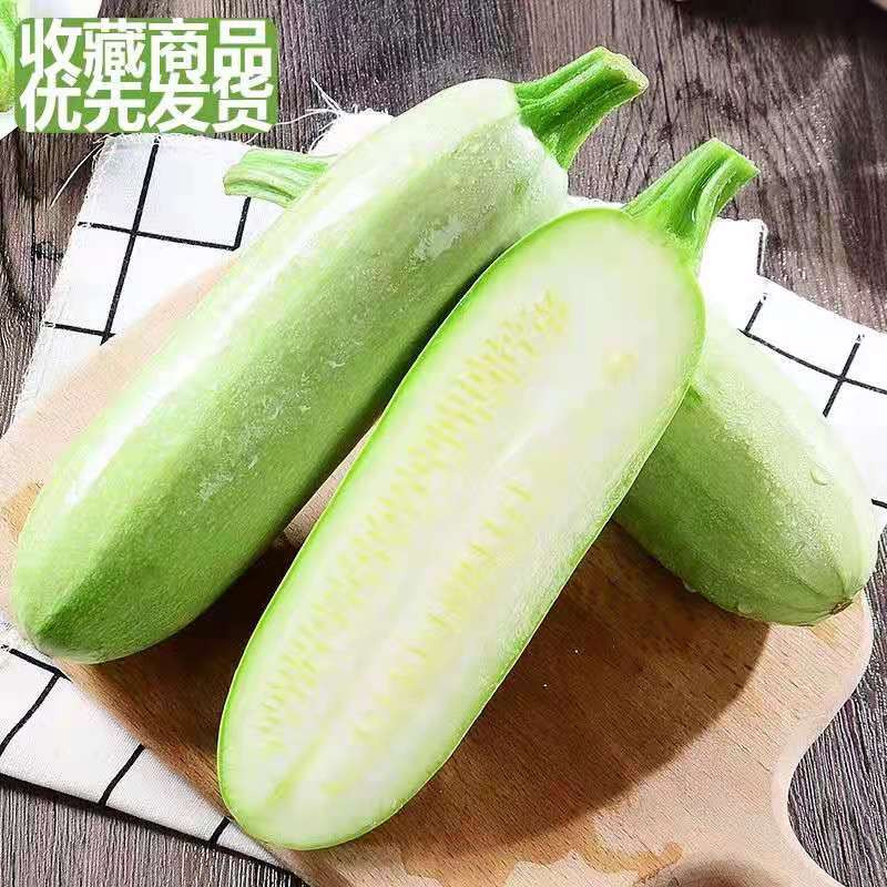 新鲜蔬菜农家自种当季西葫芦现摘 现发茭瓜白角瓜 辅 食5斤包邮    
